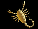 Scorpio